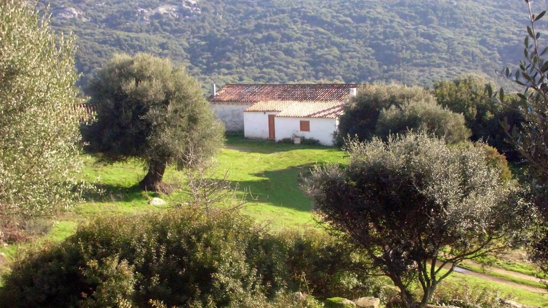 Nyaraló Ferienhaus Stazzo Mit Garten In Luogosanto
