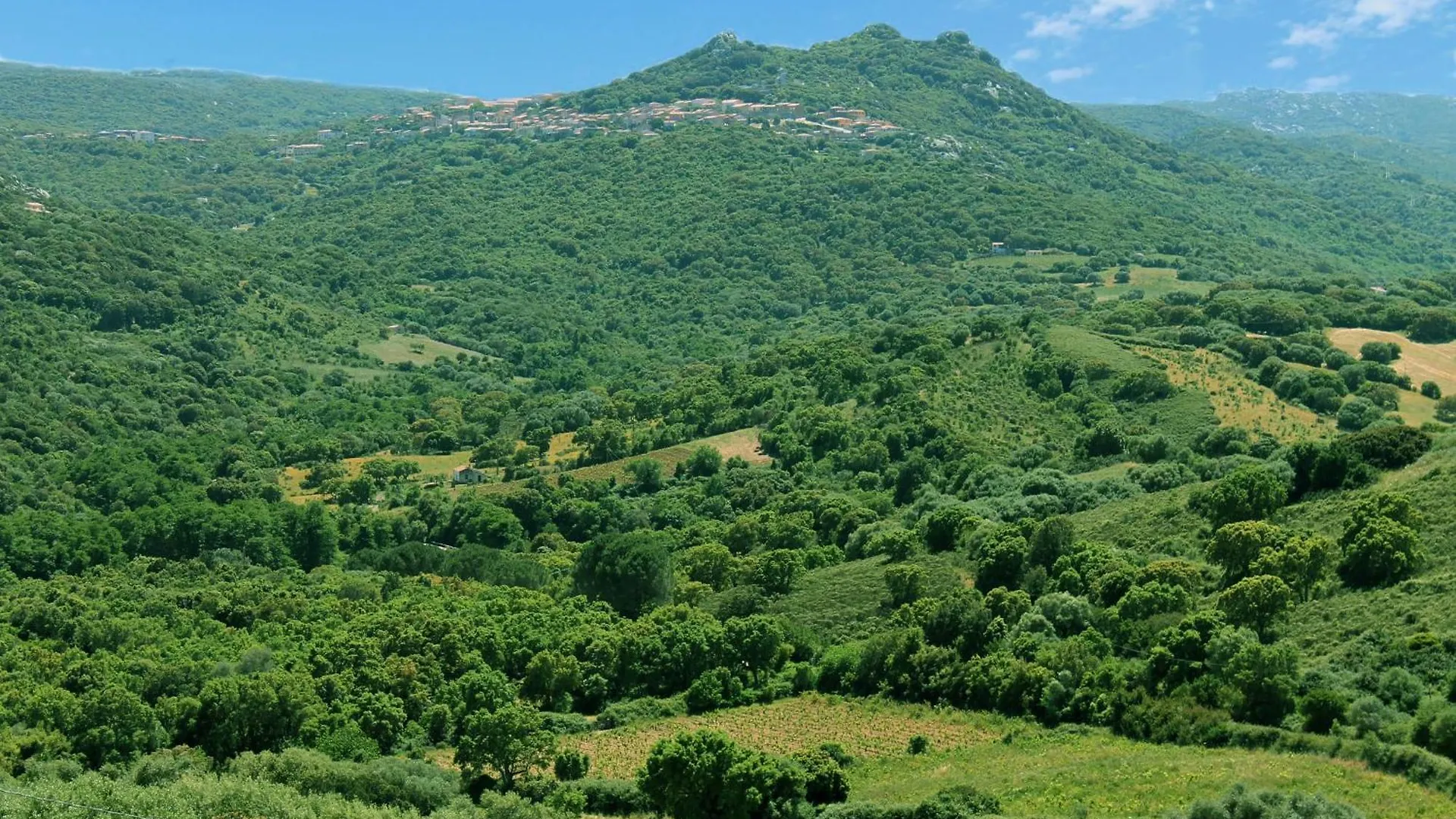 Ferienhaus Stazzo Mit Garten In Luogosanto