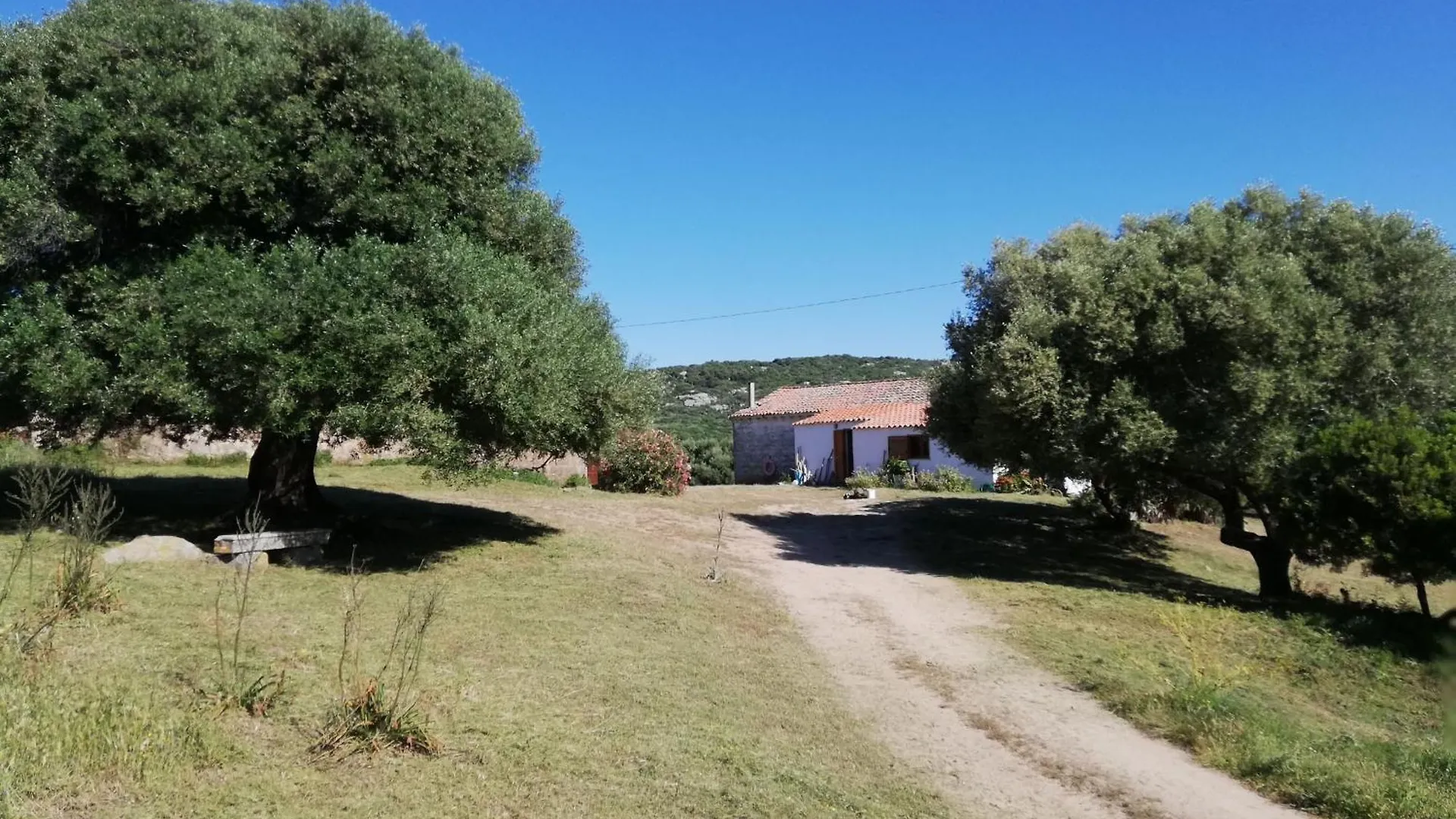 Ferienhaus Stazzo Mit Garten In Luogosanto